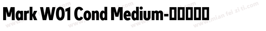 Mark W01 Cond Medium字体转换